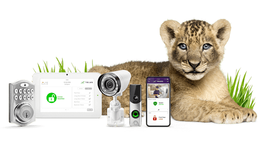 Tips for Smart Home Integration with Telus Home Security