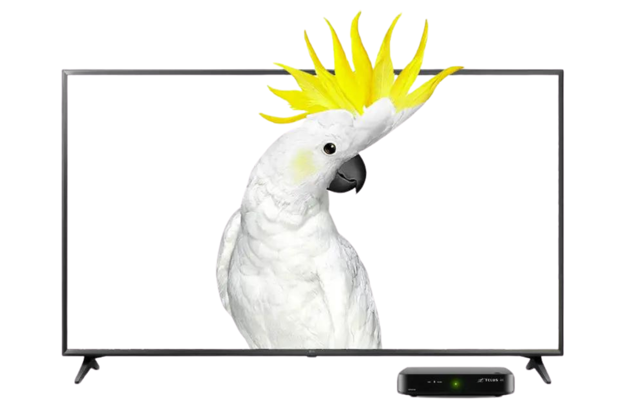 TELUS OPTIK TV